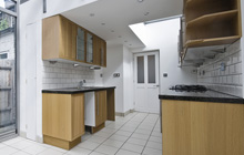 Tulse Hill kitchen extension leads